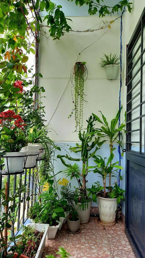 Sena Home 2Nd*Near Danang Han River*Dragon Bridge Ngoại thất bức ảnh